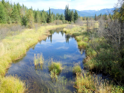 Looking at Woodard Creek down-stream.